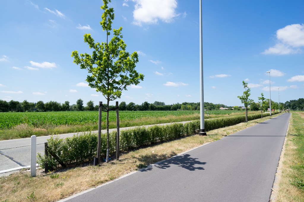 wp-content/uploads/2018/06/Straatbeplanting6.jpg